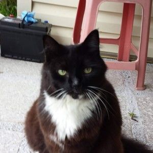 Meet your Posher, Vera